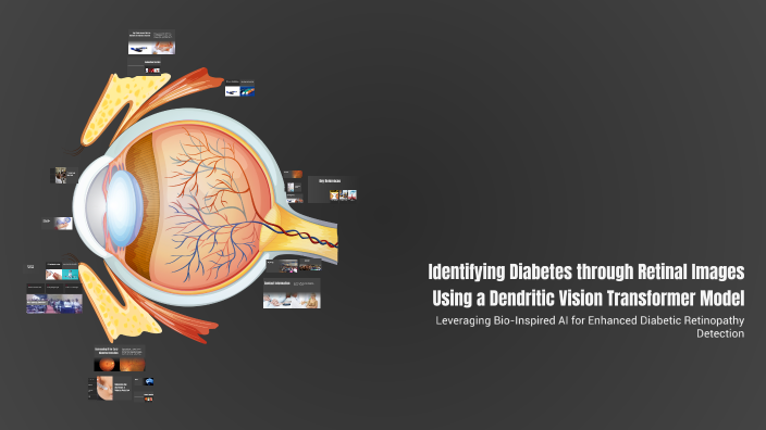Identifying Diabetes through Retinal Images Using a Dendritic Vision ...