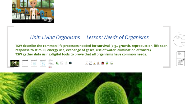 Why Organisms Exist Alone Essay