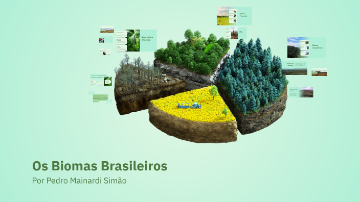 Os Biomas Brasileiros by PEDRO MAINARDI SIMAO on Prezi