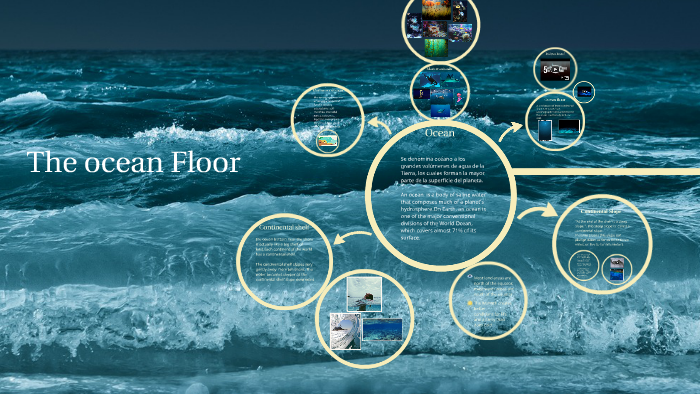 The ocean Floor by litzi vera on Prezi
