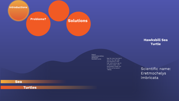 Hawksbill Sea Turtle environmental problems by Anson Winsor on Prezi