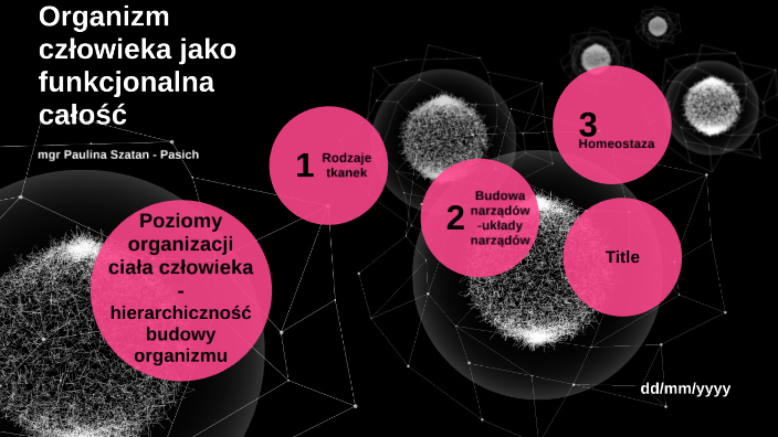 Organizm człowieka jako funkcjonalna całość by Paulina Szatan-Pasich on