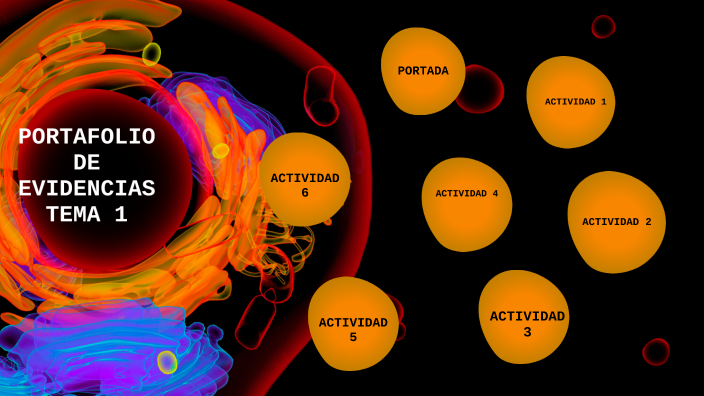 PORTAFOLIO DE EVIDENCIAS TEMA 4 by Diana Laura Reyes Lopez on Prezi