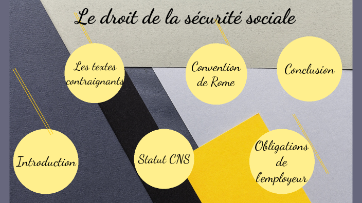 Le Droit De La S curit Sociale By Farah Messili