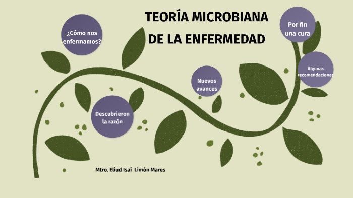 Teoría Microbiana de la enfermedad by Eliud Isai Limon Mares on Prezi