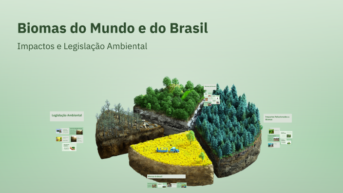 Biomas do Mundo e do Brasil by Vitória Martins Martins on Prezi
