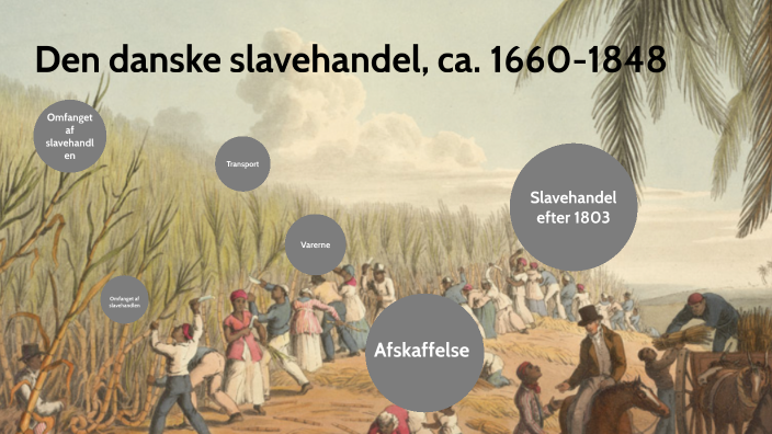 Den Danske Slavehandel, Ca. 1660-1848 By Mathis Landbo