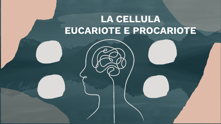 cellula eucariote e procariote by sofia giuliano on Prezi