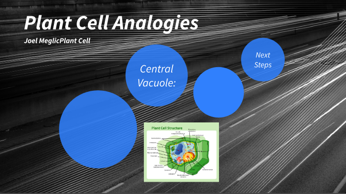 Plant Cell Analogies by Joel Meglic on Prezi