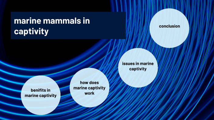 marine mammals in captivity by Ashvin Sharma on Prezi