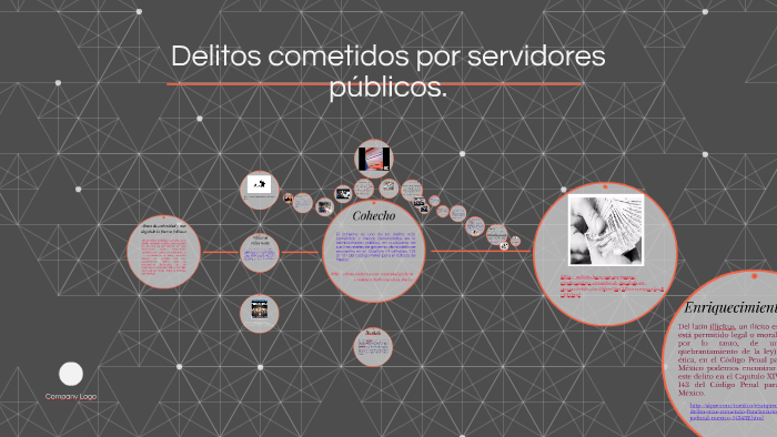 Delitos cometidos por servidores públicos. by Maria del Rosario