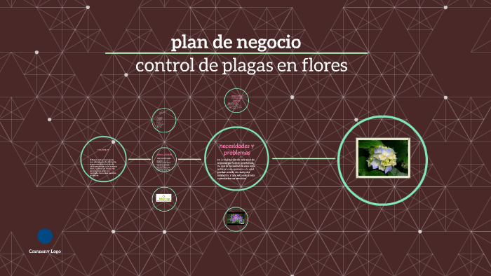 plan de negocio by Diana Carolina Candamil Candamil on Prezi