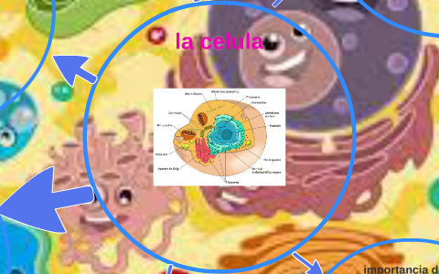 la celula by sofia vergara on Prezi