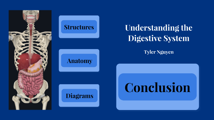 Understanding the Digestive System by Tyler Nguyen on Prezi