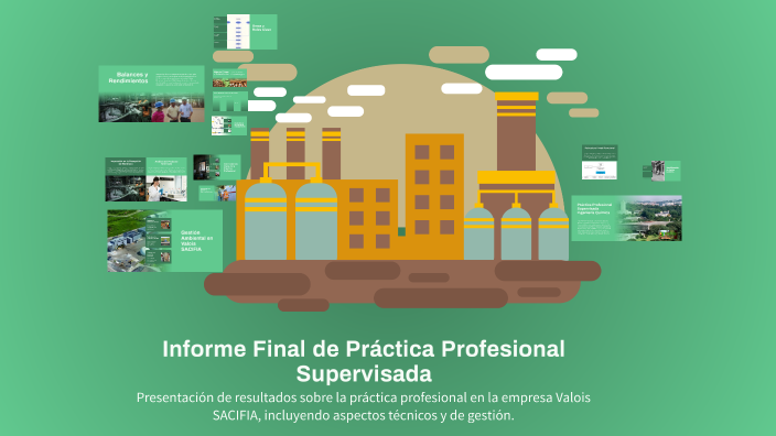 Informe Final de Práctica Profesional Supervisada by Aguss Pelinski on ...