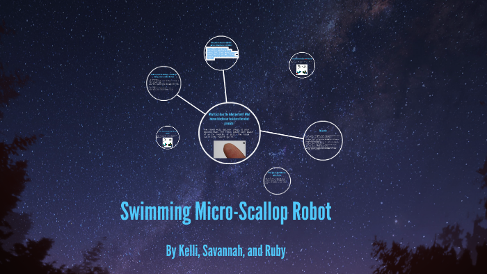 Swimming Micro Scallop Robot By Ruby Adkins On Prezi Swimming Micro Scallop Robot By Ruby Adkins On Prezi