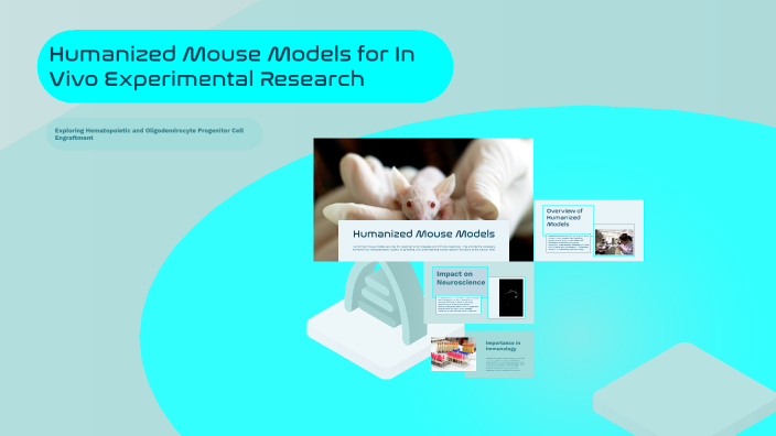 Humanized Mouse Models for In Vivo Experimental Research by Özge Dumral ...