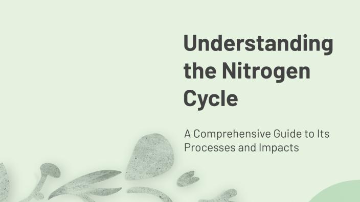 Understanding the Nitrogen Cycle by Atul Patil on Prezi