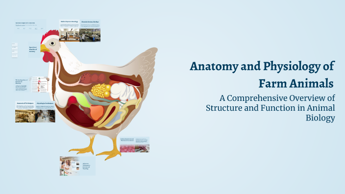 Anatomy and Physiology of Farm Animals by Nelwin Diño on Prezi