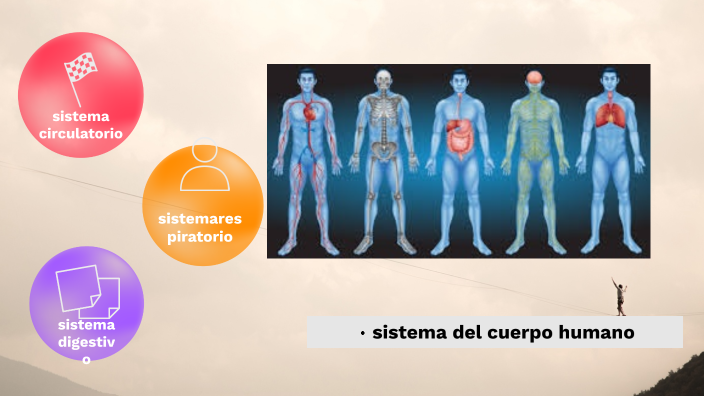 sistema del cuerpo humano by mariaelena batenyax on Prezi