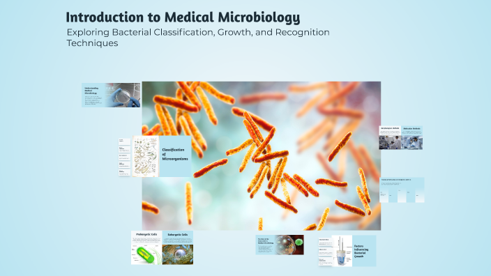 Introduction to Medical Microbiology by AHA E on Prezi