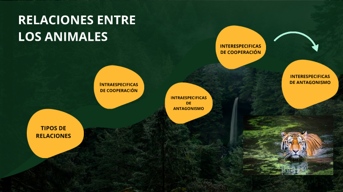 RELACIONES DE LOS ANIMALES by Yanira martin muela on Prezi