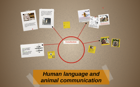 Human Language And Animal Communication By Mary Do On Prezi