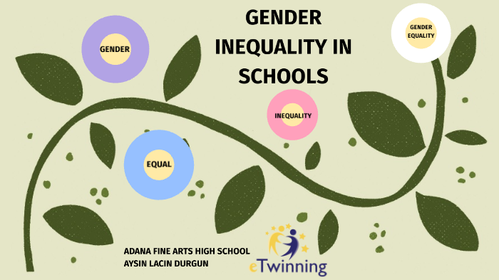 gender equity in schools