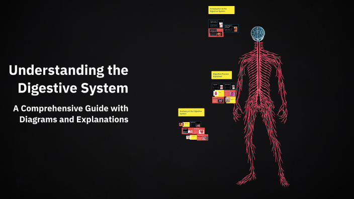 Understanding the Digestive System by Chhaman Pandey on Prezi