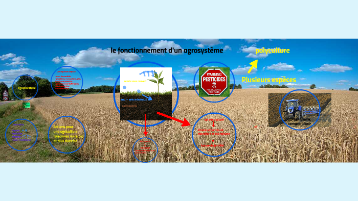 Le Fonctionnement Dun Agrosystème By Clara Lalaux On Prezi 4299