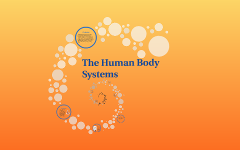 Human Body Systems by isabella idone on Prezi