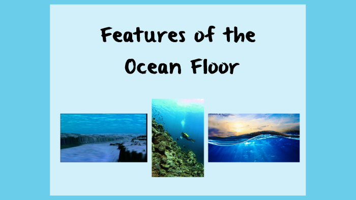 Features of the Ocean Floor by Rebecca DeLuzio on Prezi