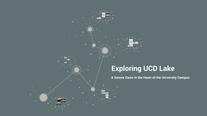 Exploring UCD Lake by Eimh Mc Gann on Prezi