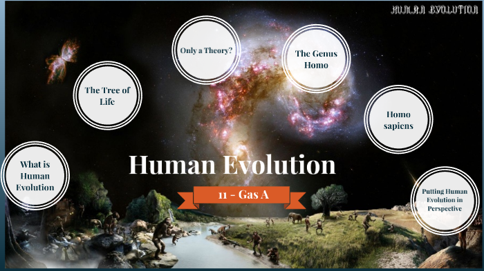 Human Evolution by adrian armilla on Prezi