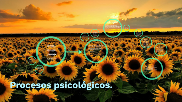 Procesos Psicológicos. By Deisy Becerra On Prezi