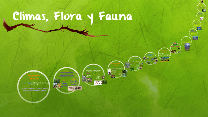 Climas, Flora Y Fauna By Karla Baltazar On Prezi