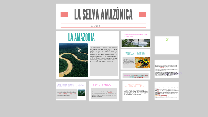 LA SELVA AMAZONICA by idana berdini on Prezi