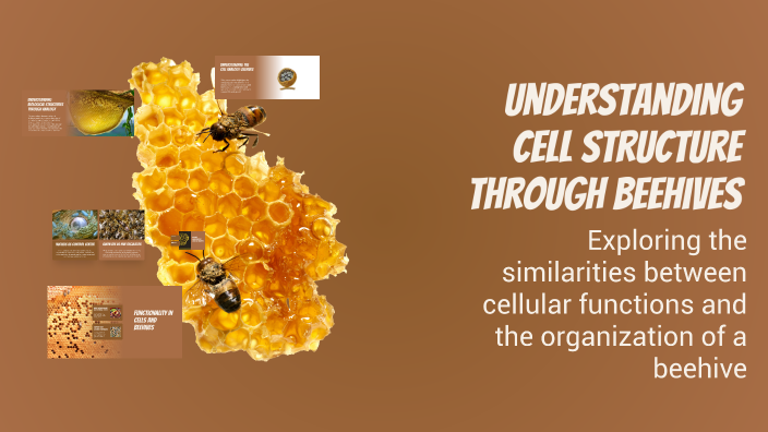 Bee Cell Structure Understanding Cell Structure Through Beehives by Kaiya Cortez on Prezi