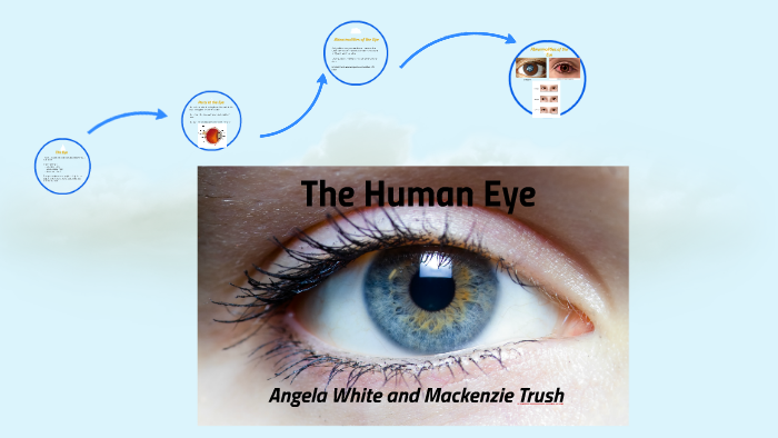The Human Eye by Angela White on Prezi
