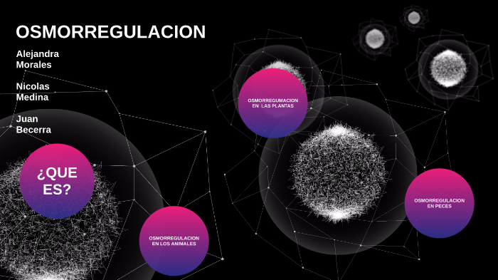 OSMORREGULACIÒN by alejuanmedi no se on Prezi