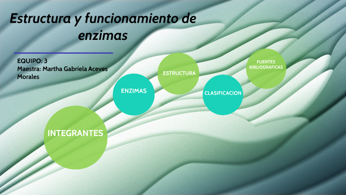 Estructura Y Funcionamiento De Enzimas By Carmen Cuellar