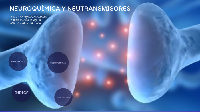 Neuroquimica y neurotransmisores by Patri rodríguez martin on Prezi