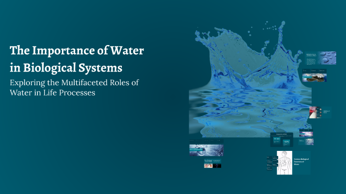 The Importance of Water in Biological Systems by Was Eem on Prezi