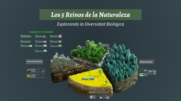 Los 5 Reinos de la Naturaleza by Gabriela Calderon on Prezi