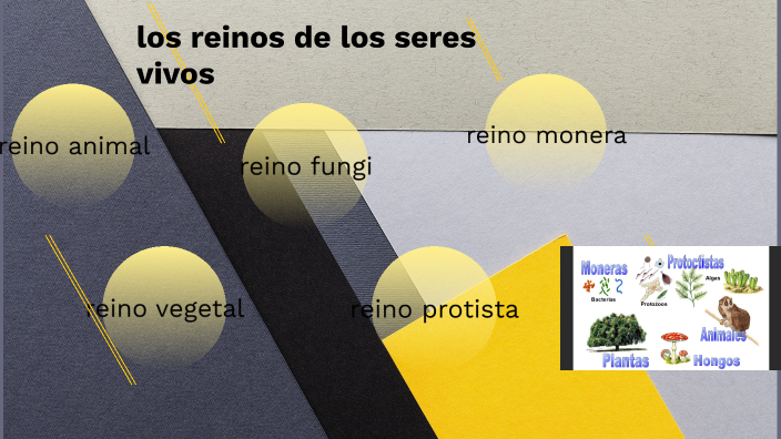 reinos de los seres vivios by sergio daniel isem alvarado on Prezi