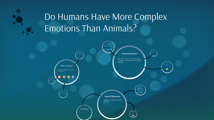 do-human-have-more-complex-emotions-than-animals-by-maddie-b