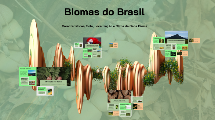 Biomas do Brasil by gabriel santos on Prezi