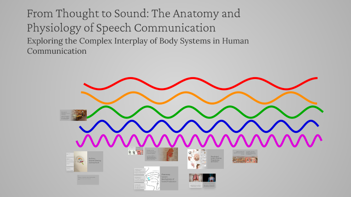 Communication Through Sound From Thought to Sound: The Anatomy and Physiology of Speech ...