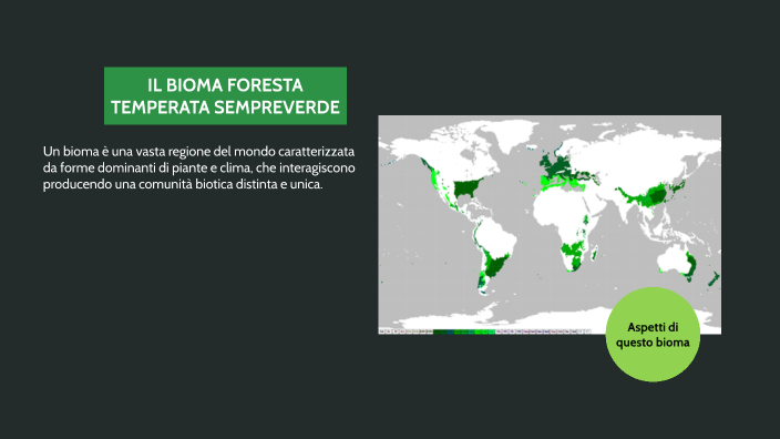 bioma della foresta temperata sempreverde