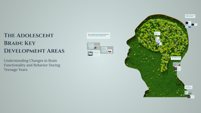 The Adolescent Brain Key Development Areas By Jashanpreet Kaur On Prezi
